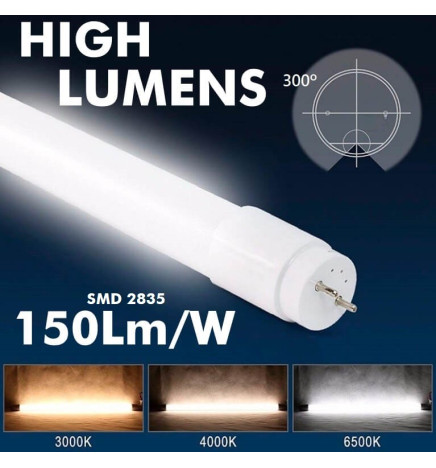 Tubo MAX LED 13W Vidro  PRO 90cm 300º  150Lm/W