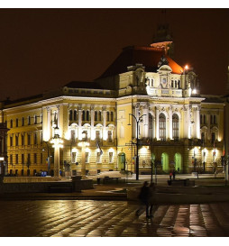 LED projektør 50W DOB MAGNUM OSRAM Chip SMD3030-3D 180Lm / W 90º