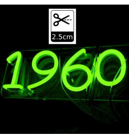 Pack Grön 6000K Neon LED 6mm 12V + Strömförsörjning