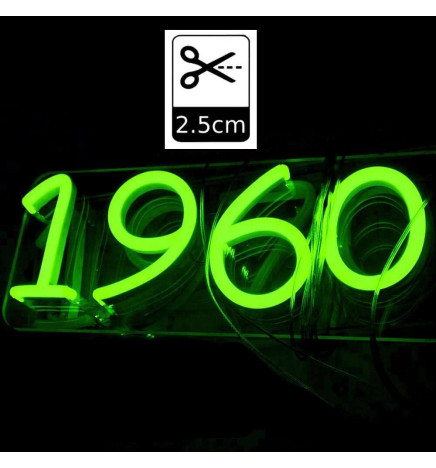 Pack Grønn 6000K Neon LED 6mm 12V + Strømforsyning