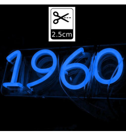 Pack ruban Neon Rouge LED 6mm 12V  + F. Alimentation