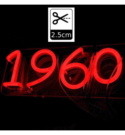 Pack striscia Neon Rosso LED 6mm 12V + Alimentatore