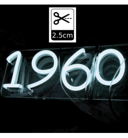 Pakkaus Neon LED 6000K LED 6mm 12V + Virtalähde