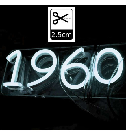 Pakke Neon LED 6000K LED 6mm 12V + Strømforsyning