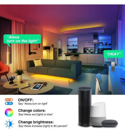 Tira LED 24W 12V SMART WiFi RGB+CCT - Regulable - SMD5050