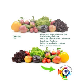 Spot LED  BERNA Chrome Noir pour rail Monophasé DOB Driverless 30W - 24°  Dimmable