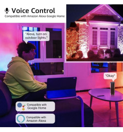 Proiettore a LED 30W - SMART Wifi RGB+CCT - Dimmerabile