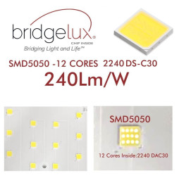 Réverbère LED 10W - 100W AARHUS Philips Driver Programmable SMD5050 240Lm/W