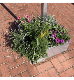 Farol Solar LED 100W Portátil SUNWAY +  Suporte Ajustável em altura com rodas