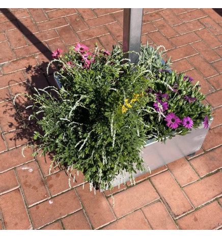 Apparecchio LED Stradale SOLARE 100W SUNWAY + Supporto portatile regolabile in altezza con ruote