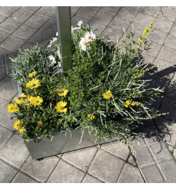 Solcelle gatelys LED 100W SUNWAY + Høydejusterbart bærbart stativ med hjul