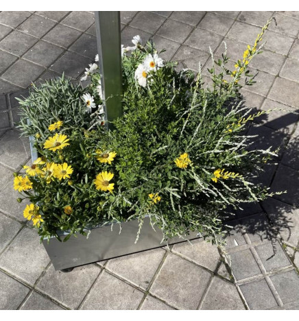 Solcelle gatelys LED 100W SUNWAY + Høydejusterbart bærbart stativ med hjul