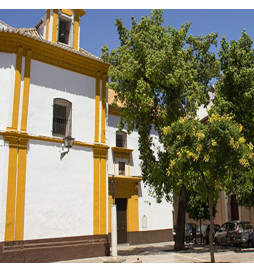 LED Aluminiums Gadebelysning 40W-50W-65W-100W