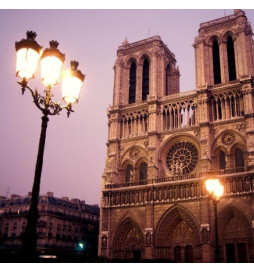 LED Straßenlaterne Aluminium Palast 40w-50w-65w-100w