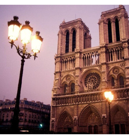 Farola LED Palacio Aluminio Forjado 40W-50W-65W-100W