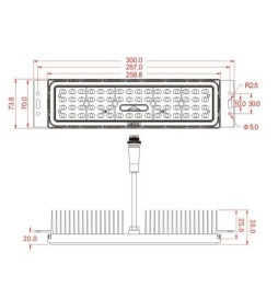 LED Straßenleuchte 50W  Wanda - 4 Meter