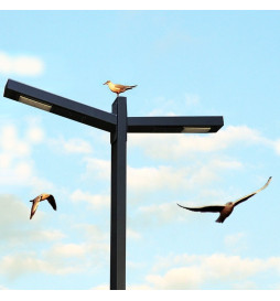 LED-gatubelysning 50W Wanda - 4 meter