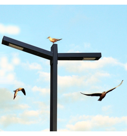 Farol LED 50W Wanda - 4 Metros