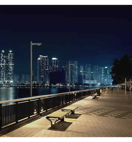 LED-gatubelysning 50W Wanda - 4 meter - 6 meter