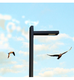 50W LED Streetlight Wanda - 4 meters - 6 meters