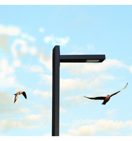 LED gatelys 50W Wanda - 4 meter - 6 meter