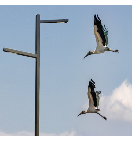 LED-gatubelysning 100W HELGA - 4 meter - 6 meter