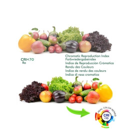 3-PHASE LED Tracklight 40W GRAZ Black BRIDGELUX Chip rails - CRI +90