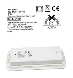 LED-hätävalo 4W + kattosarja + pysyvä valon vaihtoehto - IP65