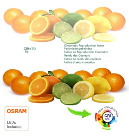 15W LED Lampe E27 A60 180º - OSRAM CHIP DURIS E 2835