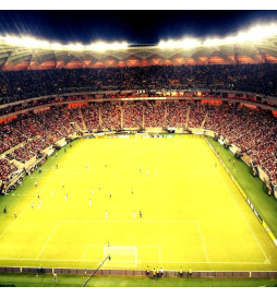 LED-Strålkastare 240W PHILIPS Xitanium STADIUM MATRIX Bridgelux Chip 20º - Driver Philips