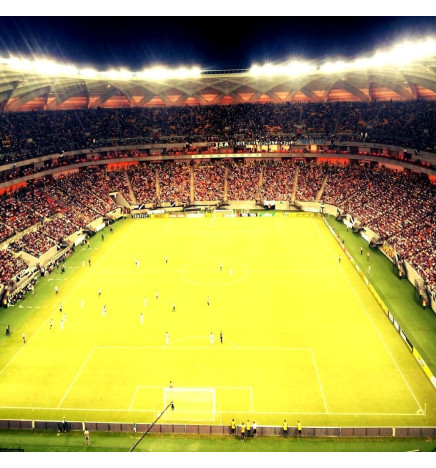 LED Projektør 240W PHILIPS Xitanium STADIUM MATRIX Bridgelux Chip 20º - Driver Philips