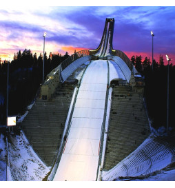 Projecteur LED 960W MATRIX Bridgelux Chip - 200Lm/W - 20º