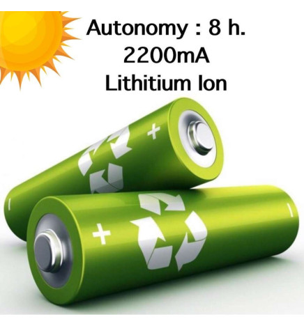 Solar havelampe 4500K med bevægelsessensor