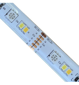 LED Strip 24W 12V SMART WiFi RGB + CCT - Dimbar - SMD5050