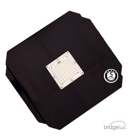 Module LED 40W Street Light Bridgelux + Steel plate