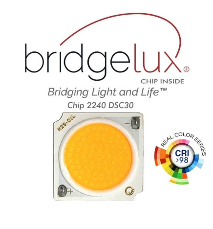 LED skinnespot 40W MADRID PHILIPS Driver  Hvit 1-fase CRI+98