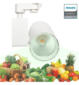 Faretto LED 40W MADRID Bianco PHILIPS Driver binario Monofase SPECIALE PER GLI ALIMENTI