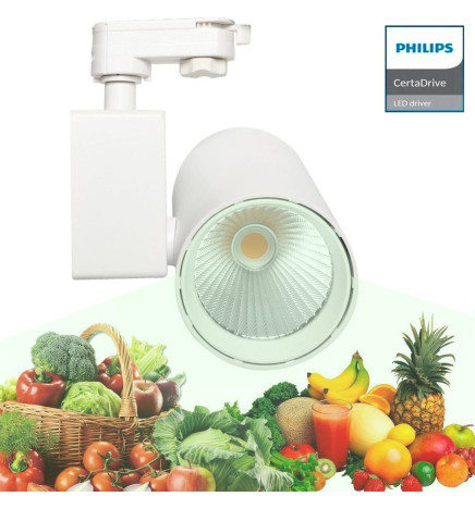 Foco LED 40W MADRID Branco PHILIPS Driver Calha Monofásico ESPECIAL PARA ALIMENTAÇÃO
