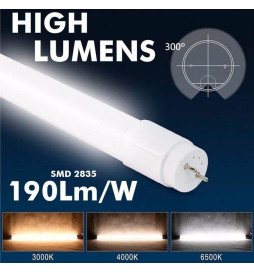Tubo LED 10W Cristal 60cm T8 - 160 Lm/W - MAX LUMENS - 1600Lm