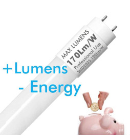 Tubo LED 10W Vidro 60cm T8 - 160 Lm/W - MAX LUMENS - 1600Lm