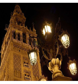 Módulo Óptico LED 65W ALTA LUMINOSIDAD 180Lm/W Bridgelux para Luminarias