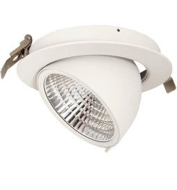 Downlight LED 30W  Philips - CertaDrive - Orientable Rond  - HAMBOURG