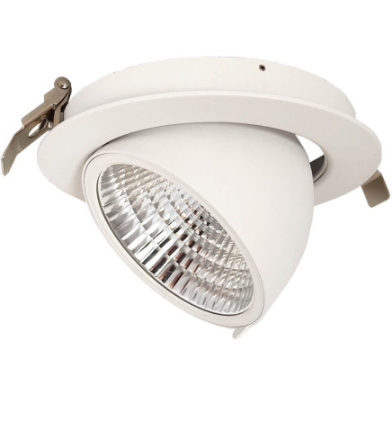Downlight LED 30W  Philips - CertaDrive - Orientable Rond  - HAMBOURG