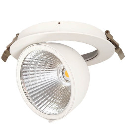 Downlight LED 30W  Philips - CertaDrive - Direcionável Circular  - HAMBURGO