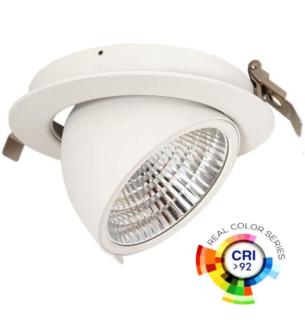 LED Downlight -30W - Philips - CertaDrive - Cirkulär Adresserbar - HAMBURG