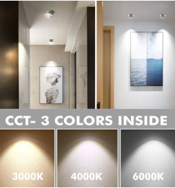 LED Einbaustrahler 30W Philips - CertaDrive - Schwenkbar Rund 25W - HAMBURG