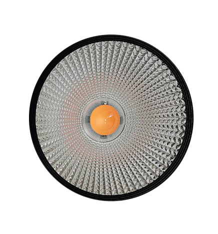 Foco LED 40W UPPSALA Negro PHILIPS Driver Carril Monofásico CRI+98