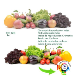 Ruban LED COB 220V | 640 LED/m | 50m | FLIP CHIP | 1650Lm | 15W/M | CRI90 | IP20 | Coupe tous les 100cm