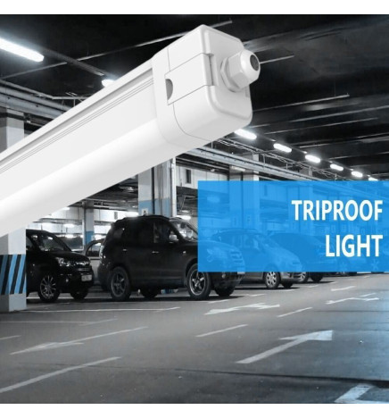 LED Yleisvalaisin 55W Philips Driver - LUMINAIRE - 3CCT - 150cm