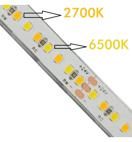 LED-nauha 24V | 240xLED/m | 5m | SMD2025 | CCT | 10W/M | IP20